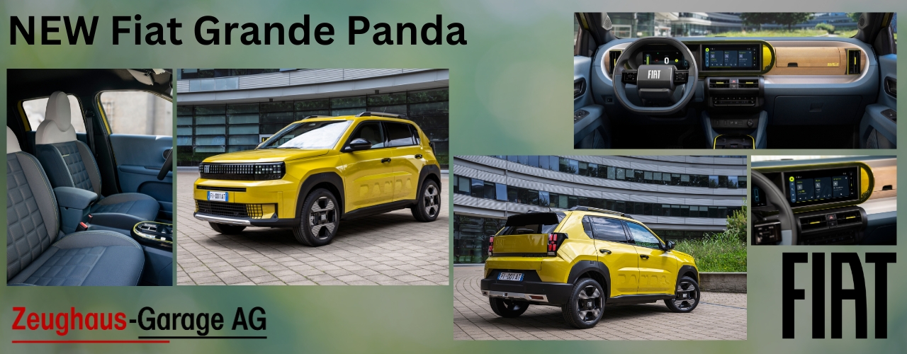 Fiat Panda Bild